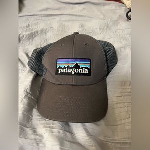 Patagonia grey trucker hat